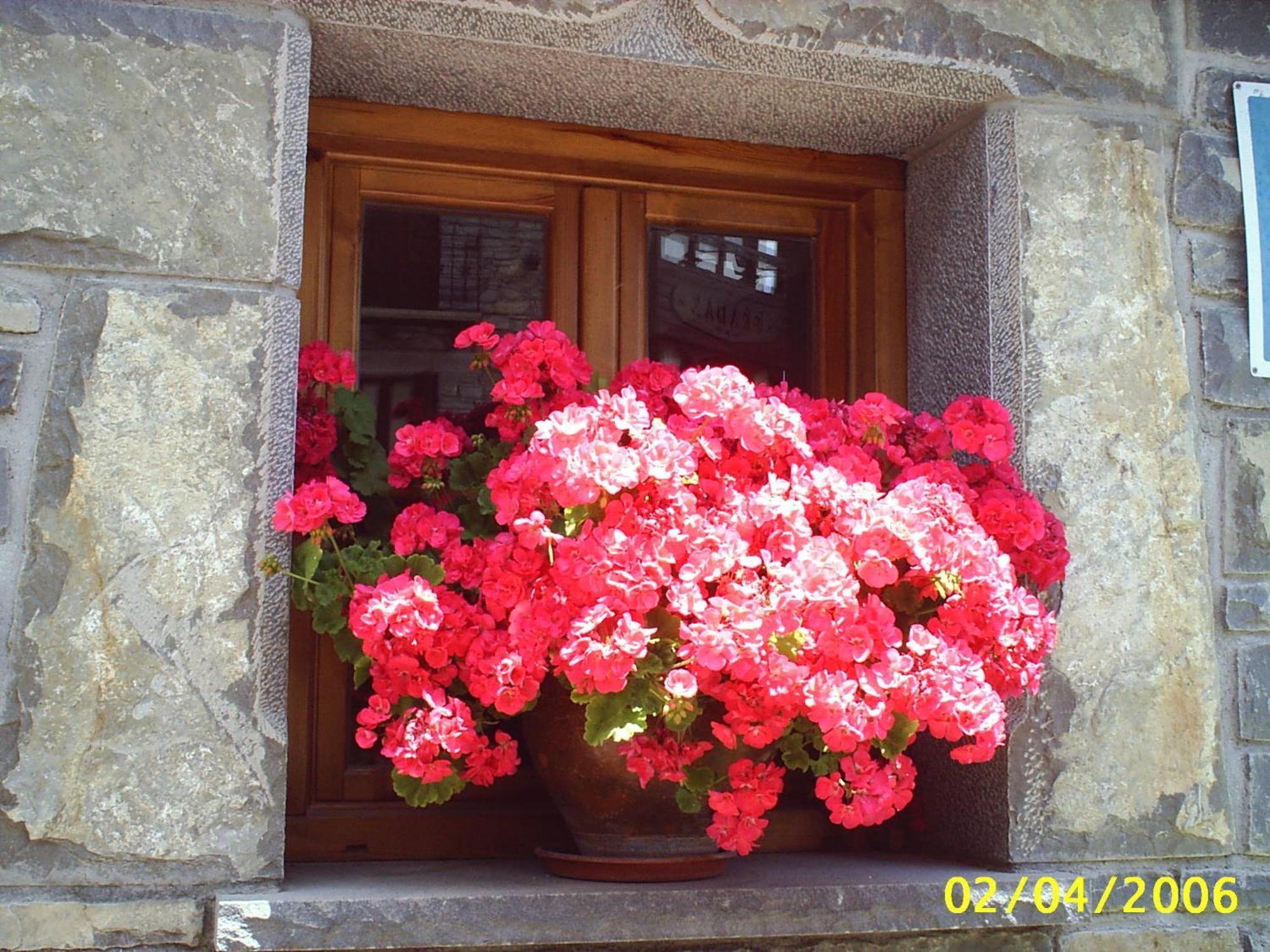 Gabarre Hotel Брото Екстериор снимка
